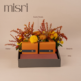 Misri