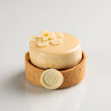 Amber Tartlettes